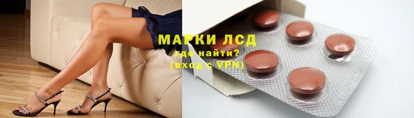 a pvp Магас